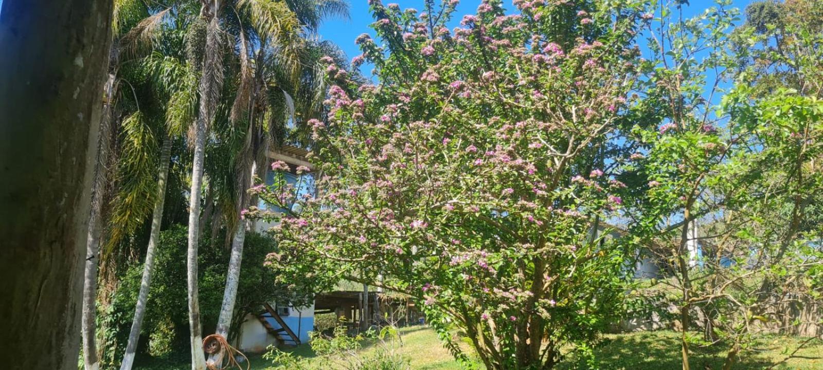 Villa Sitio Ilha Da Madeira à São Roque Extérieur photo